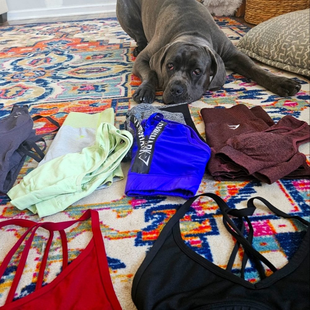 All the Gymshark left in my closet BUNDLE bras, shorts, leggings, jumpsuit small